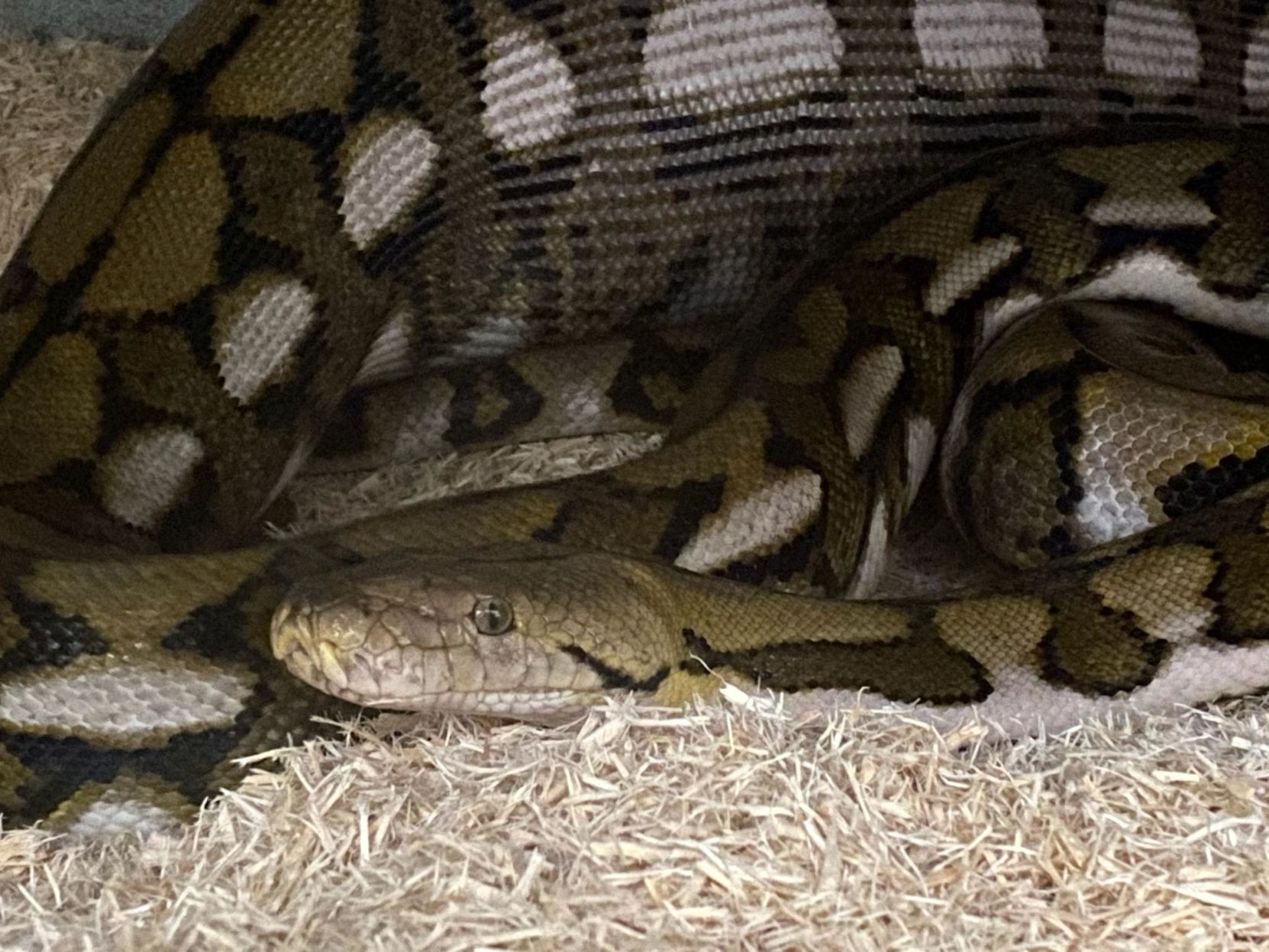Python 100519